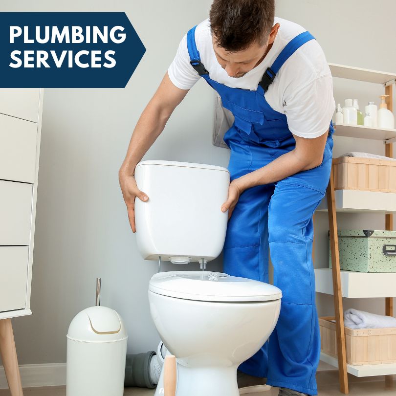 Plumbing Company in Gowen, MI
